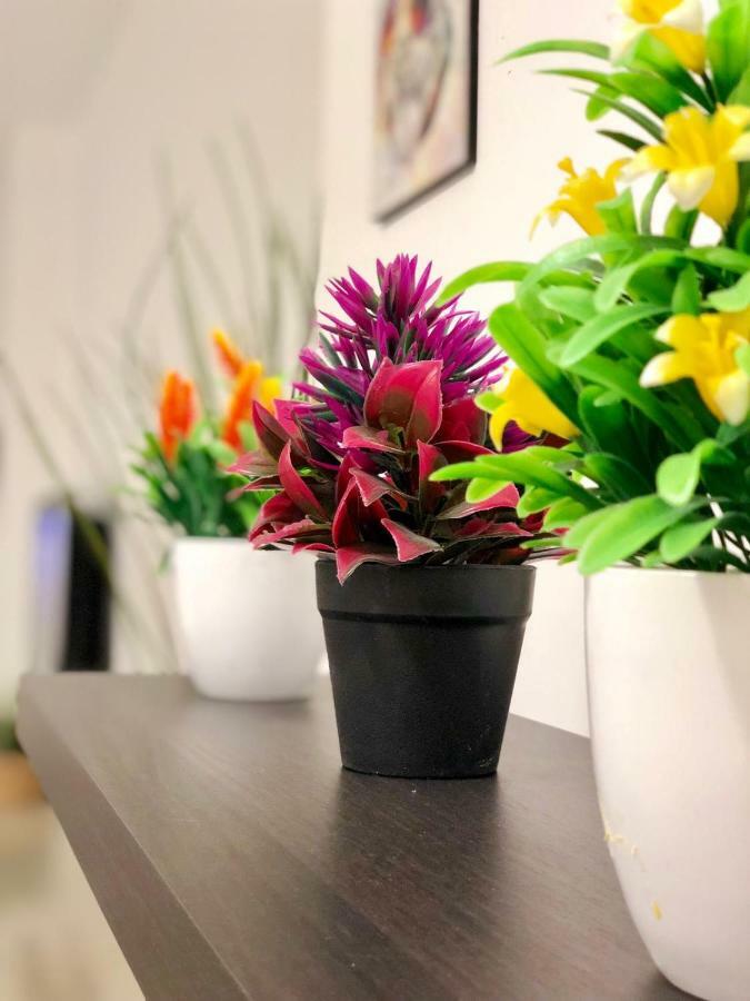 Gorgeous Boutique Apt!! //Prime Market Location!! Διαμέρισμα Ιερουσαλήμ Εξωτερικό φωτογραφία